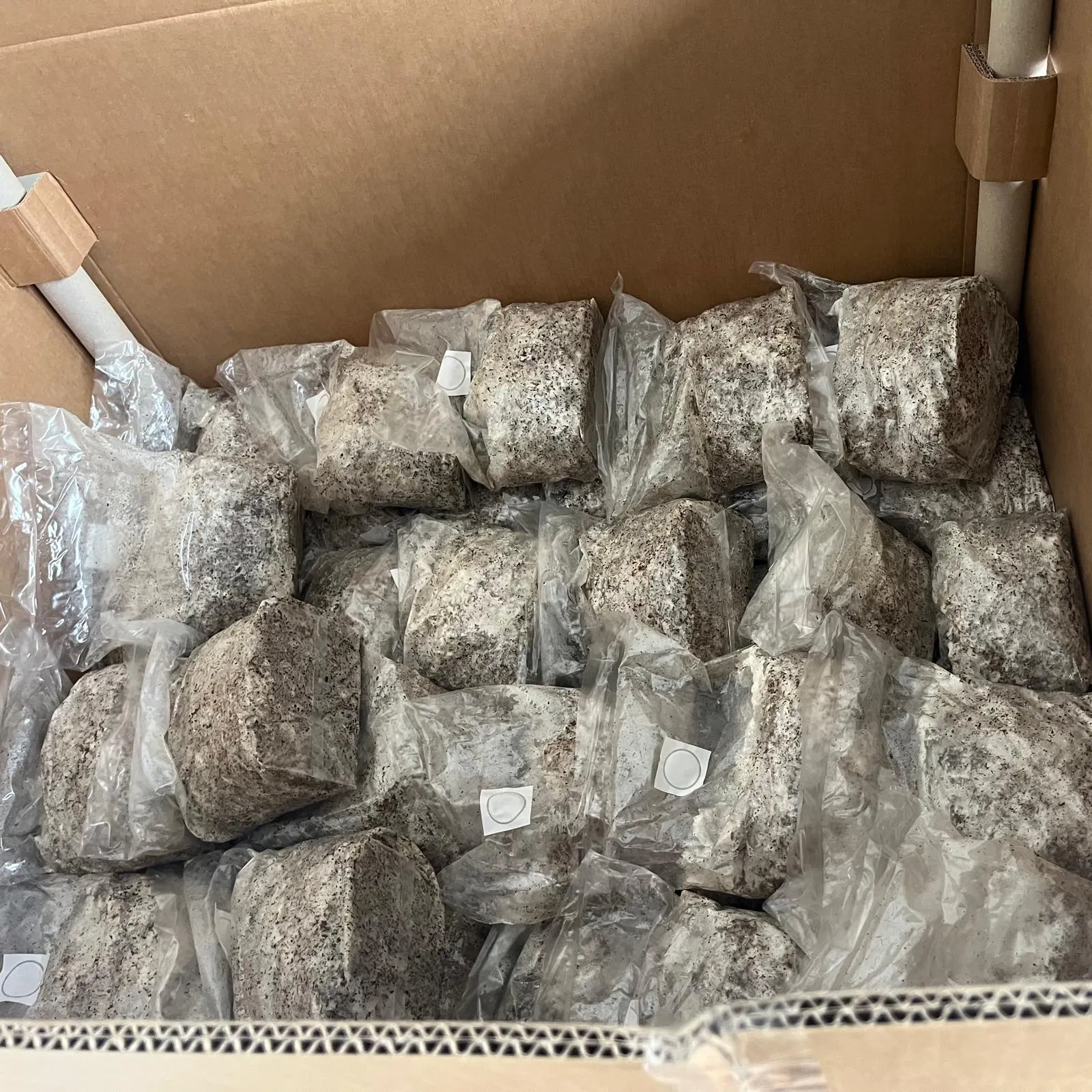 Substrat Demi-palette — 200 kg