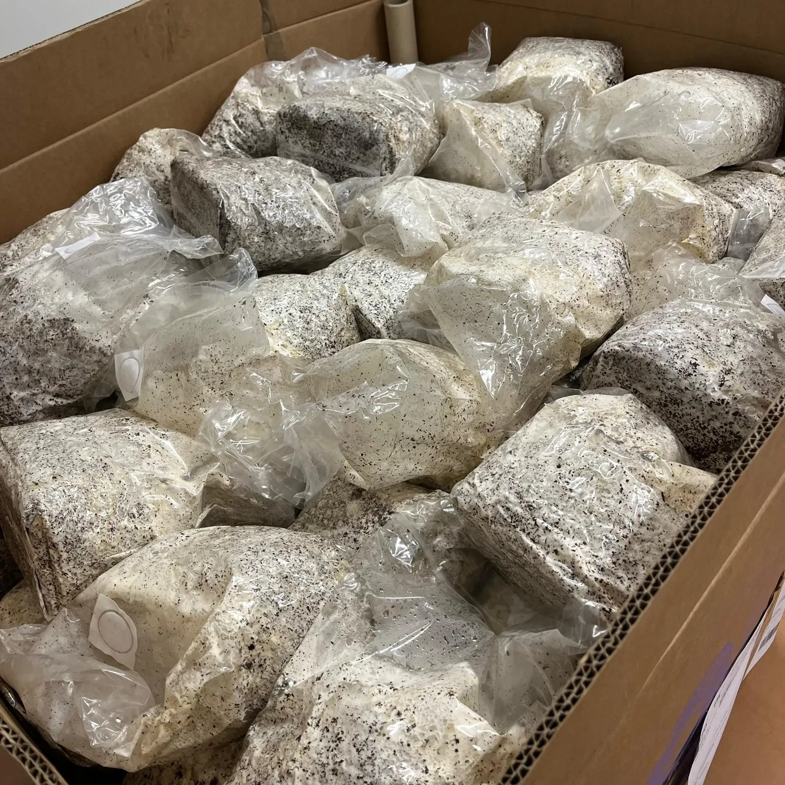 Substrat Palette complète — 500 kg